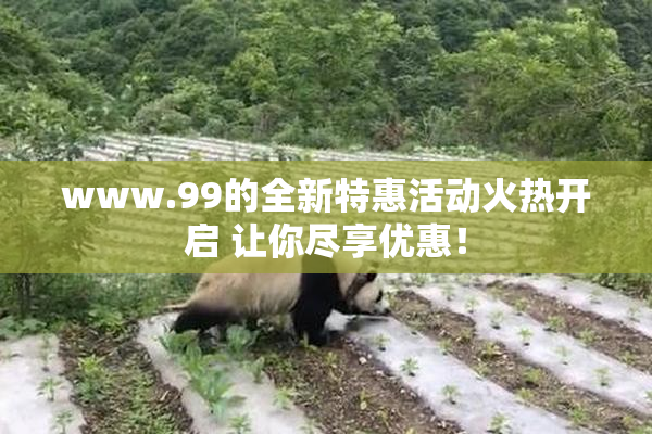 www.99的全新特惠活动火热开启 让你尽享优惠！