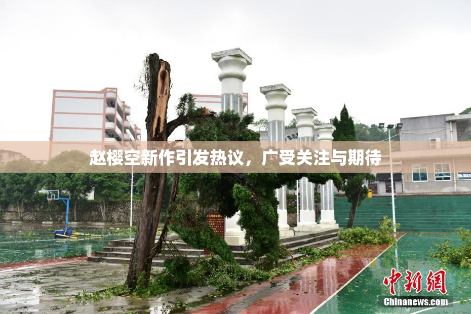 赵樱空新作引发热议，广受关注与期待