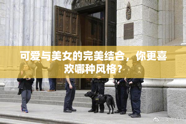 可爱与美女的完美结合，你更喜欢哪种风格？