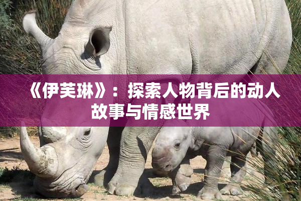 《伊芙琳》：探索人物背后的动人故事与情感世界