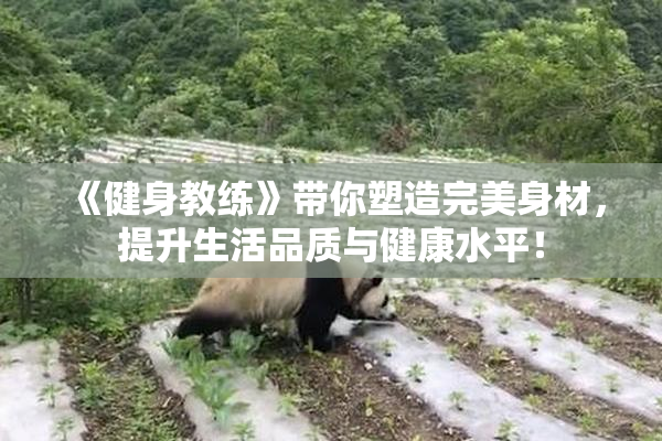 《健身教练》带你塑造完美身材，提升生活品质与健康水平！