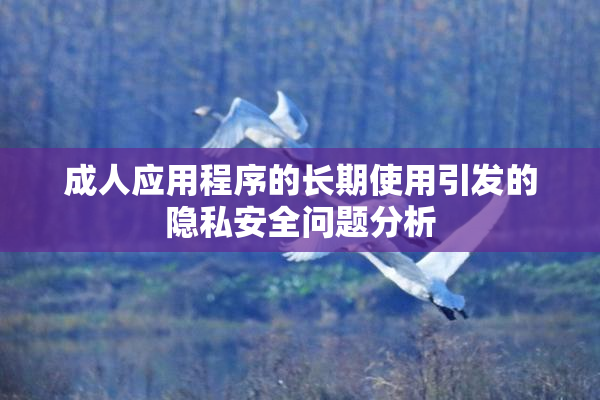 成人应用程序的长期使用引发的隐私安全问题分析