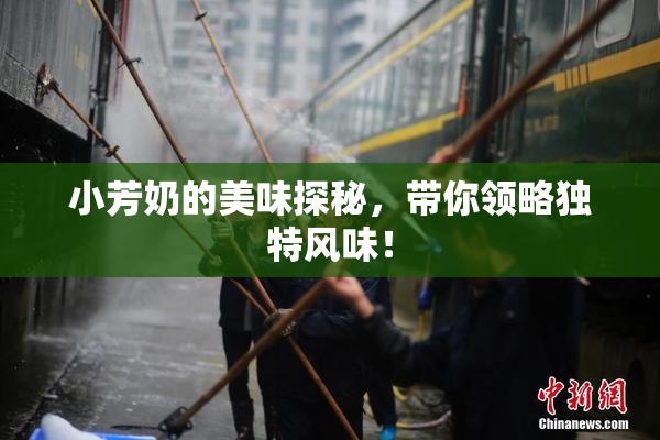 小芳奶的美味探秘，带你领略独特风味！