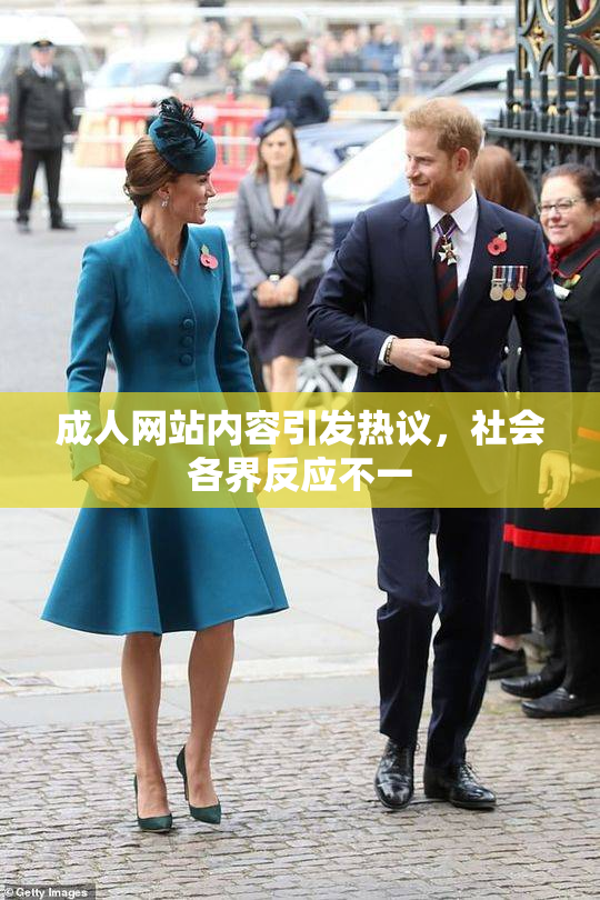 成人网站内容引发热议，社会各界反应不一