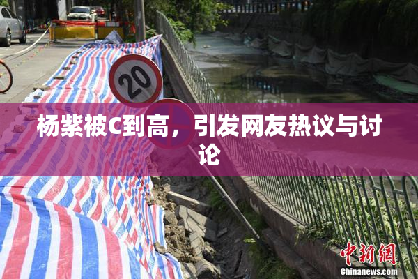 杨紫被C到高，引发网友热议与讨论