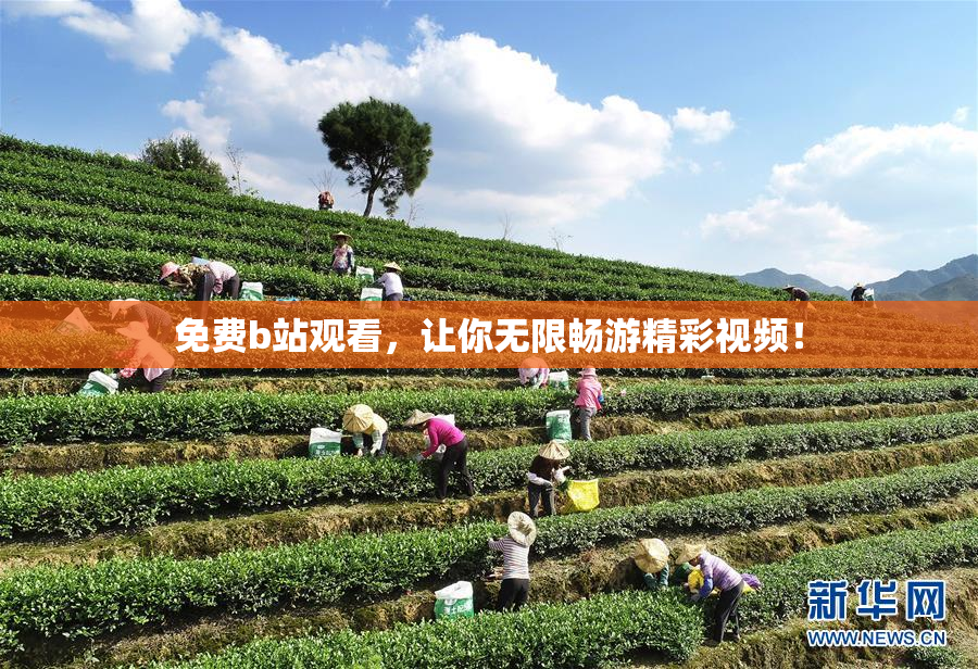 免费b站观看，让你无限畅游精彩视频！