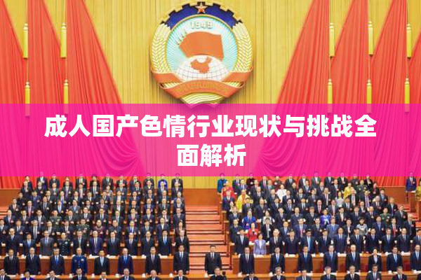 成人国产色情行业现状与挑战全面解析