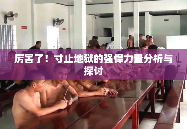 厉害了！寸止地狱的强悍力量分析与探讨