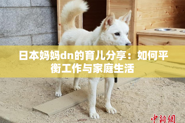 日本妈妈dn的育儿分享：如何平衡工作与家庭生活