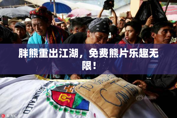 胖熊重出江湖，免费熊片乐趣无限！