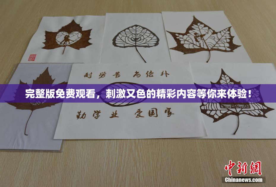 完整版免费观看，刺激又色的精彩内容等你来体验！