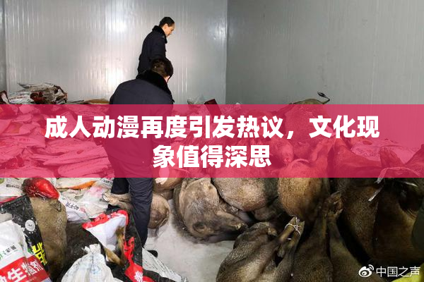 成人动漫再度引发热议，文化现象值得深思