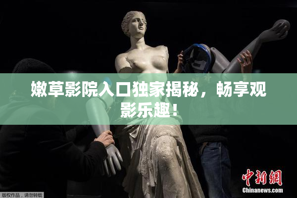 嫩草影院入口独家揭秘，畅享观影乐趣！