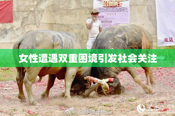 女性遭遇双重困境引发社会关注