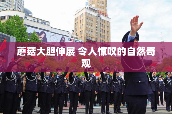 蘑菇大胆伸展 令人惊叹的自然奇观