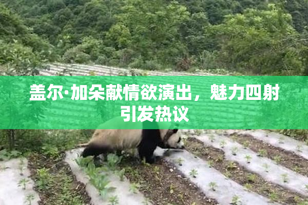 盖尔·加朵献情欲演出，魅力四射引发热议