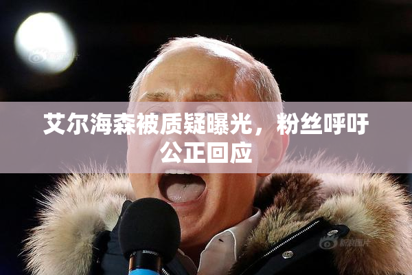 艾尔海森被质疑曝光，粉丝呼吁公正回应