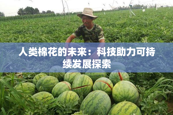 人类棉花的未来：科技助力可持续发展探索