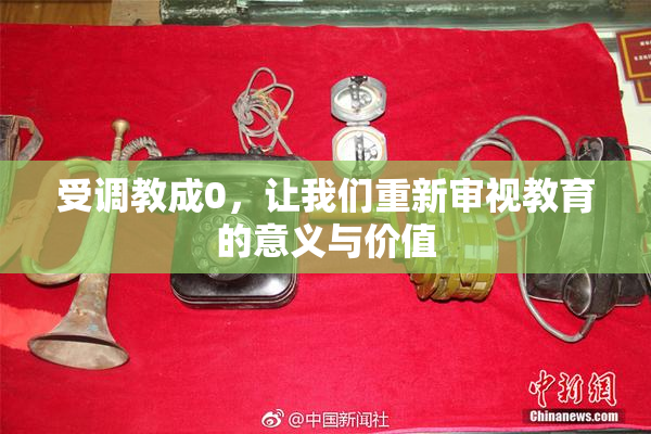 受调教成0，让我们重新审视教育的意义与价值