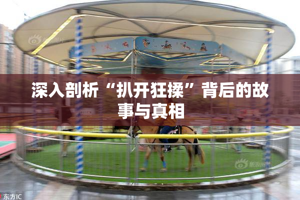 深入剖析“扒开狂揉”背后的故事与真相