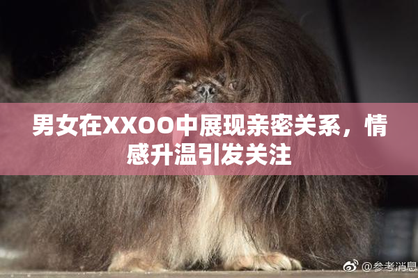 男女在XXOO中展现亲密关系，情感升温引发关注
