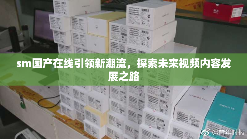 sm国产在线引领新潮流，探索未来视频内容发展之路