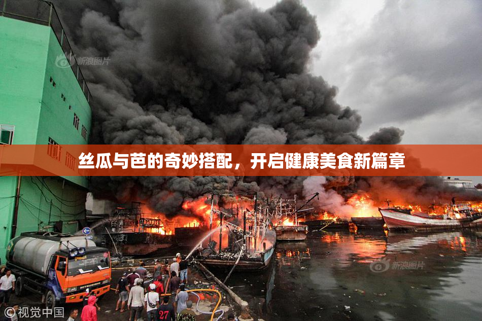丝瓜与芭的奇妙搭配，开启健康美食新篇章