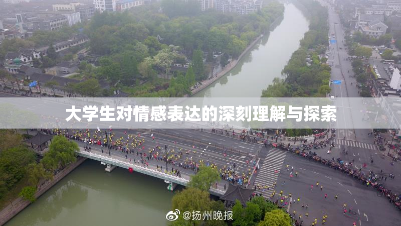 大学生对情感表达的深刻理解与探索