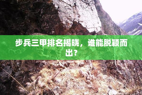 步兵三甲排名揭晓，谁能脱颖而出？