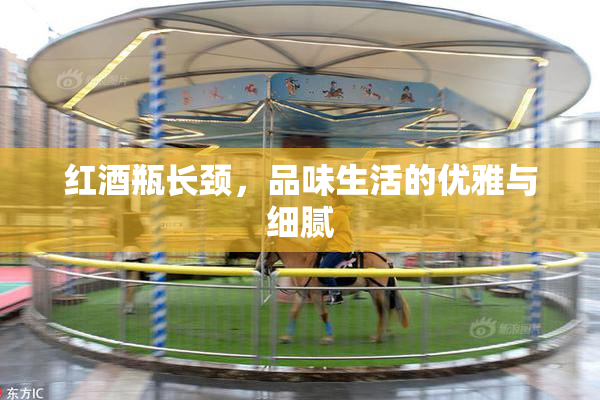 红酒瓶长颈，品味生活的优雅与细腻