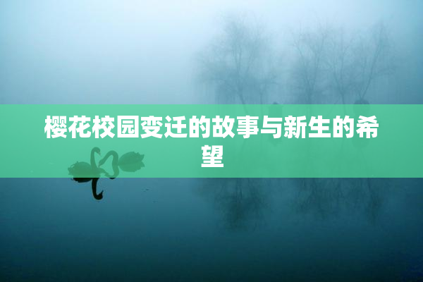 樱花校园变迁的故事与新生的希望
