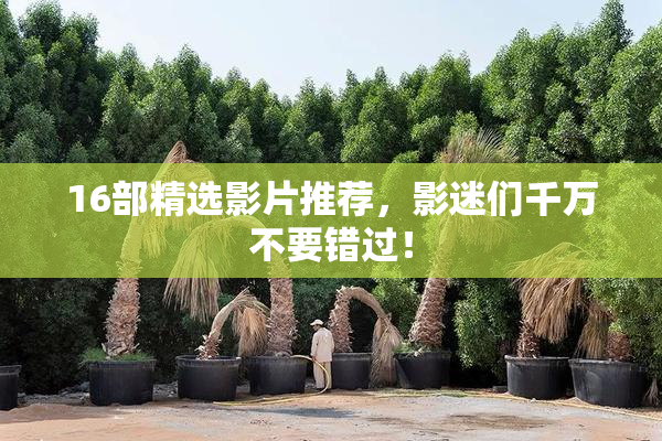 16部精选影片推荐，影迷们千万不要错过！