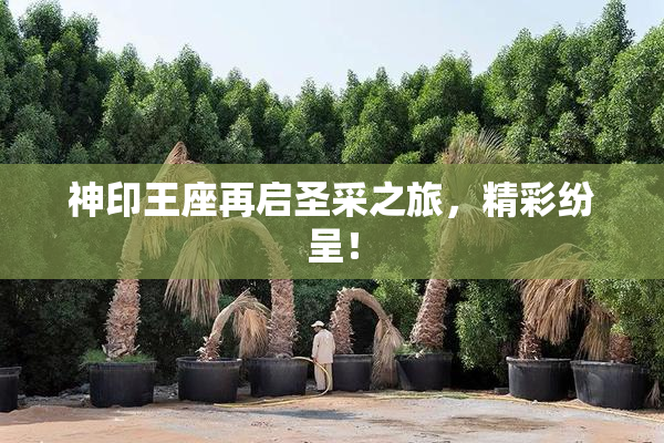神印王座再启圣采之旅，精彩纷呈！
