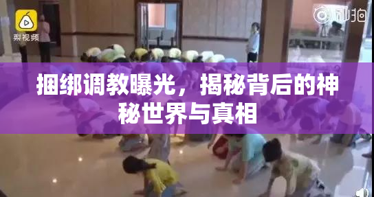 捆绑调教曝光，揭秘背后的神秘世界与真相
