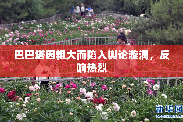 巴巴塔因粗大而陷入舆论漩涡，反响热烈