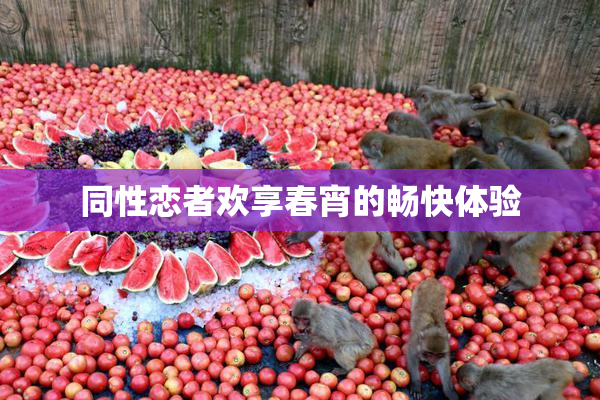 同性恋者欢享春宵的畅快体验