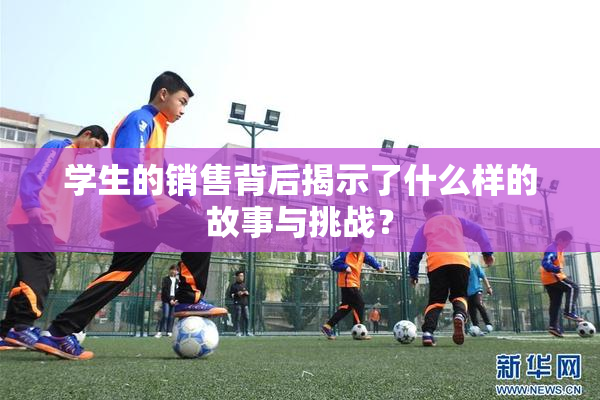 学生的销售背后揭示了什么样的故事与挑战？