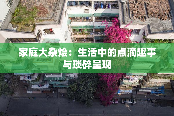 家庭大杂烩：生活中的点滴趣事与琐碎呈现