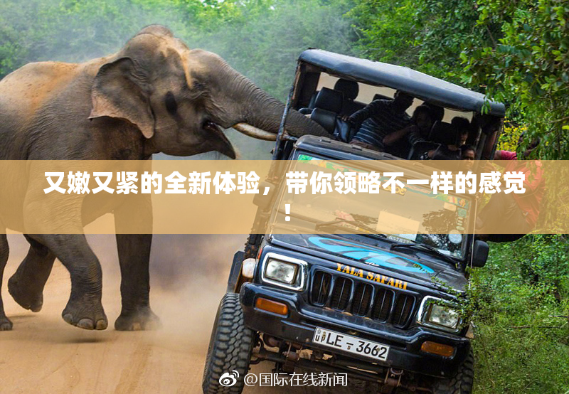 又嫩又紧的全新体验，带你领略不一样的感觉！