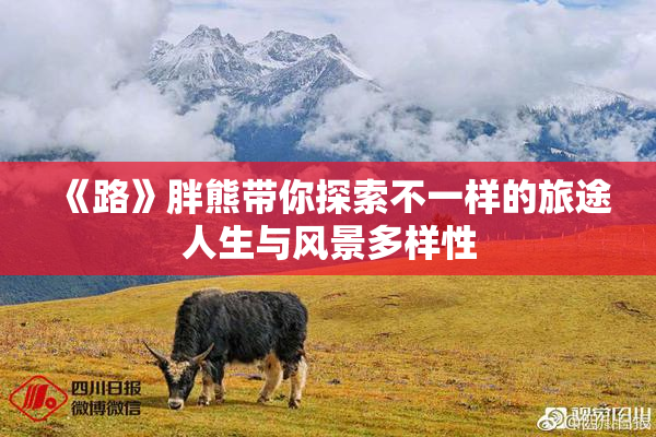 《路》胖熊带你探索不一样的旅途人生与风景多样性