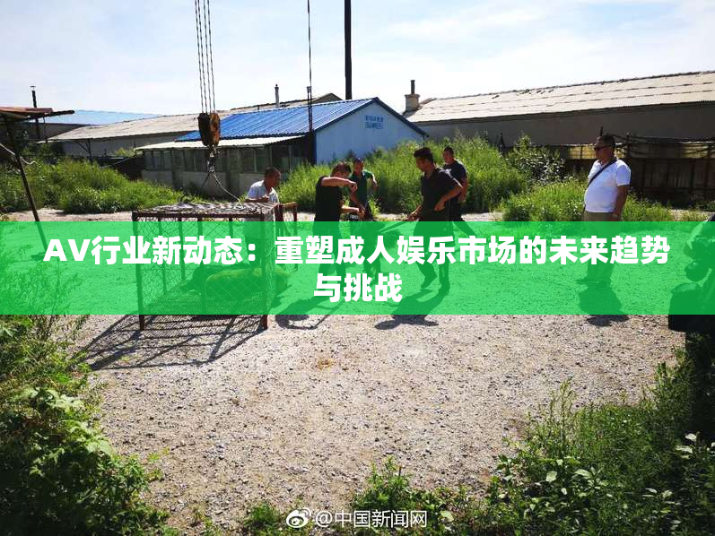 AV行业新动态：重塑成人娱乐市场的未来趋势与挑战