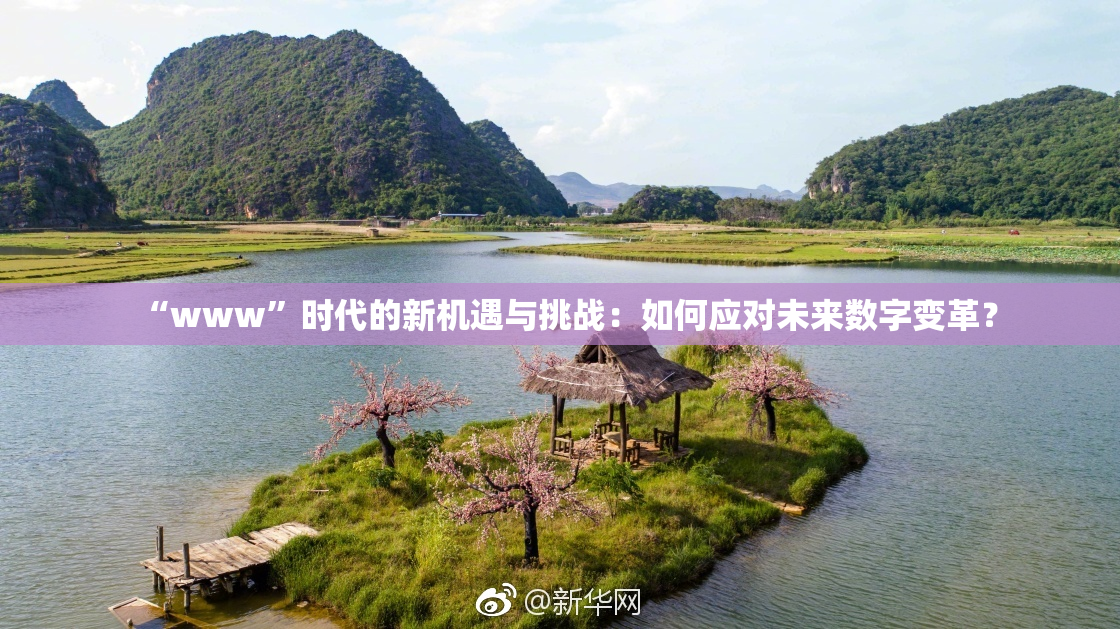 “www”时代的新机遇与挑战：如何应对未来数字变革？
