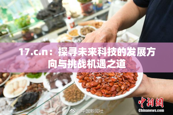 17.c.n：探寻未来科技的发展方向与挑战机遇之道