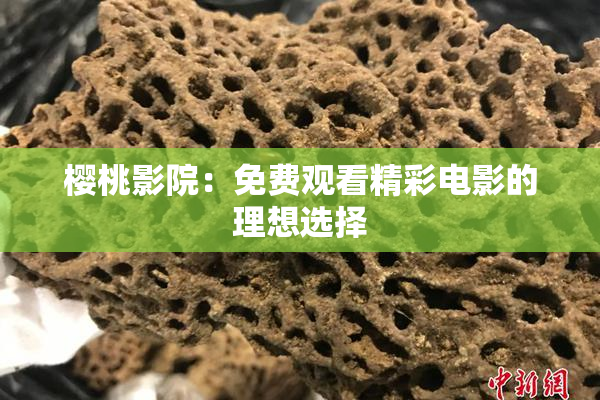 樱桃影院：免费观看精彩电影的理想选择