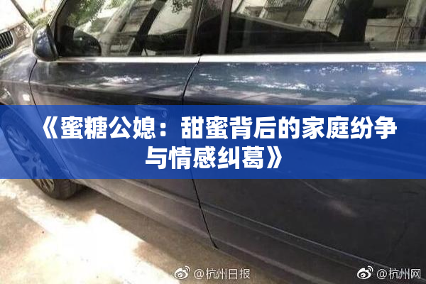 《蜜糖公媳：甜蜜背后的家庭纷争与情感纠葛》