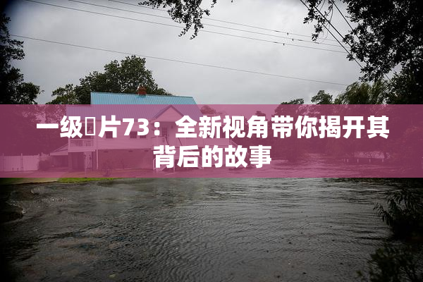 一级婬片73：全新视角带你揭开其背后的故事