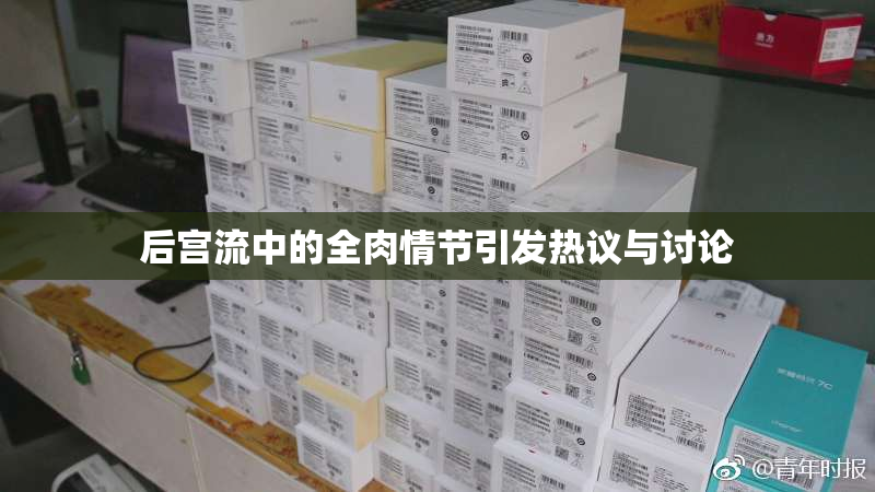 后宫流中的全肉情节引发热议与讨论