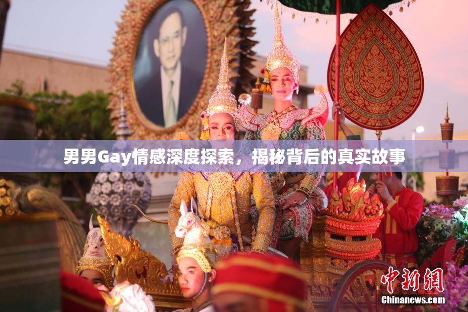 男男Gay情感深度探索，揭秘背后的真实故事