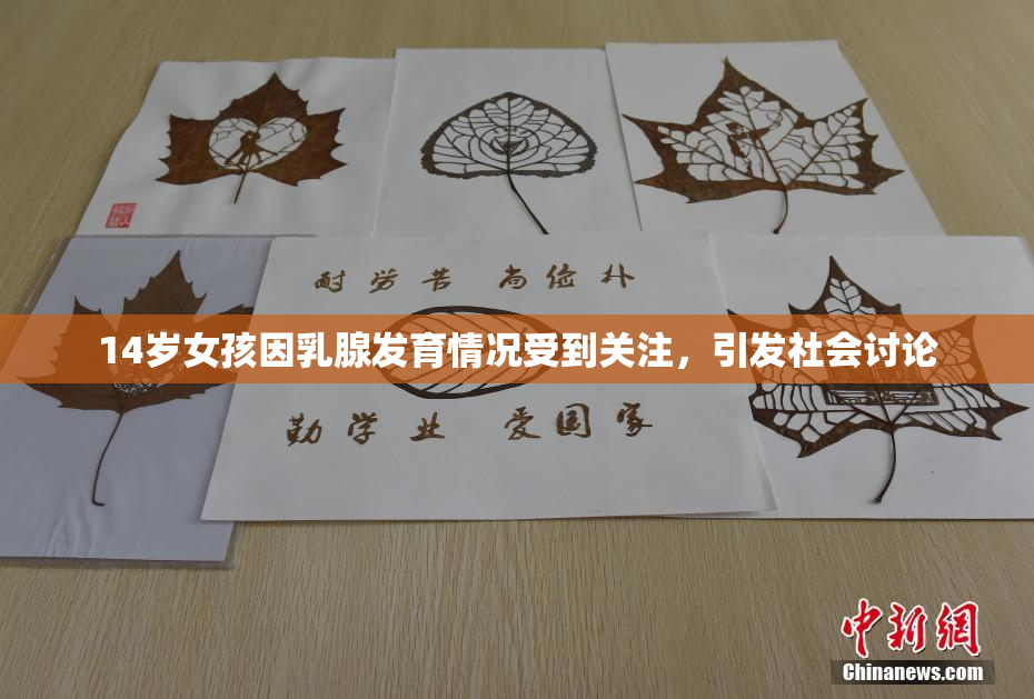 14岁女孩因乳腺发育情况受到关注，引发社会讨论
