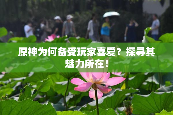 原神为何备受玩家喜爱？探寻其魅力所在！